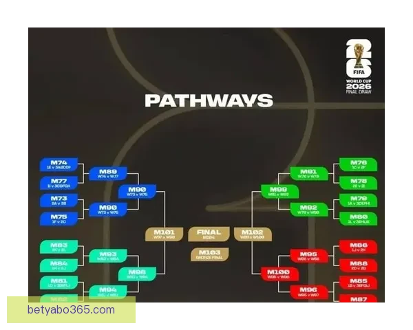 世界杯赛事投注策略全解析，助你科学提高中奖概率